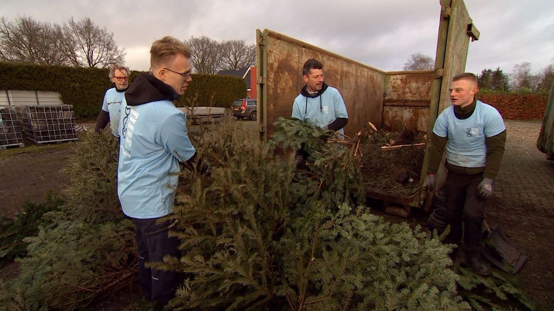 De kerstbomen worden versnipperd