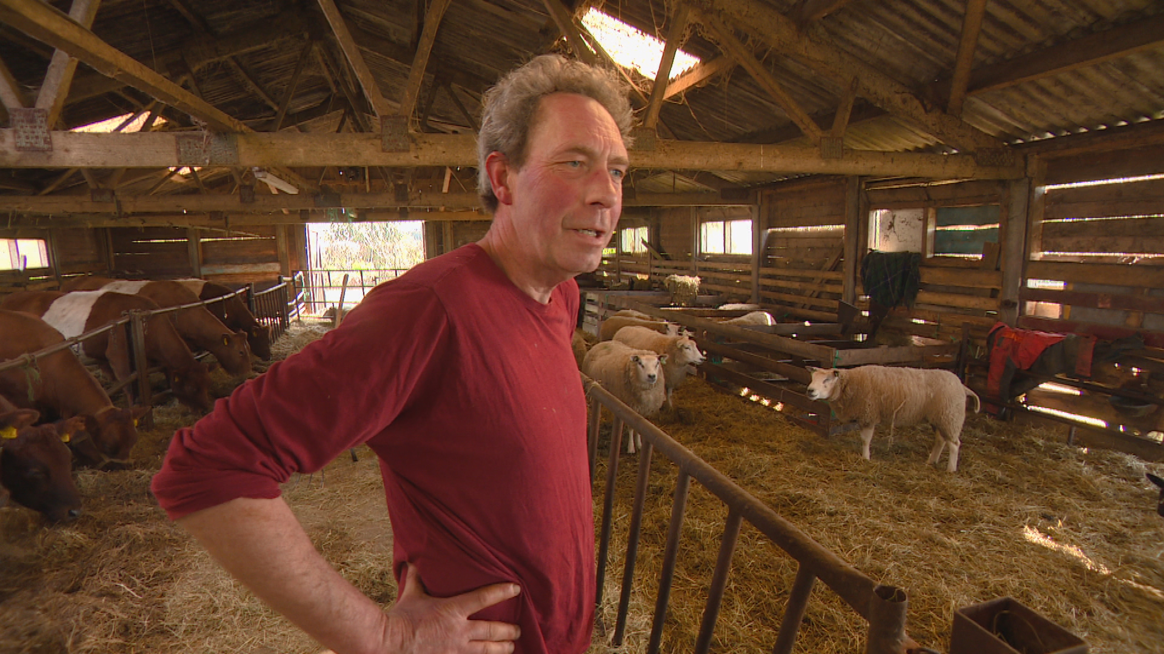 Geen bankzitters op de boerderij van Wopke