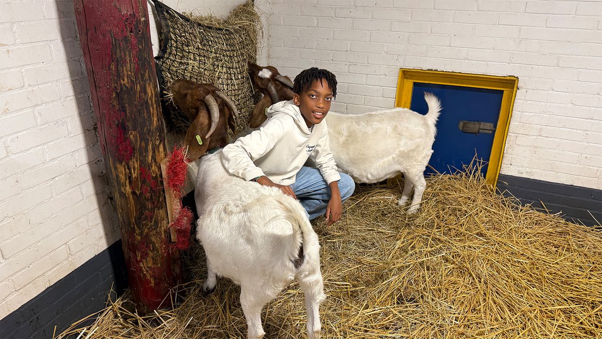 Kinderboerderij in Soest helpt jongeren die vastlopen, zonder therapeut
