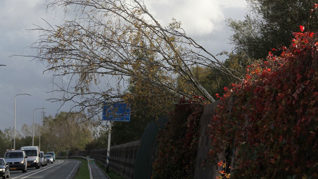 Doordat een boom op de geluidswal langs de N201 bij Loenersloot viel, werd de weg gedeeltelijk afgesloten