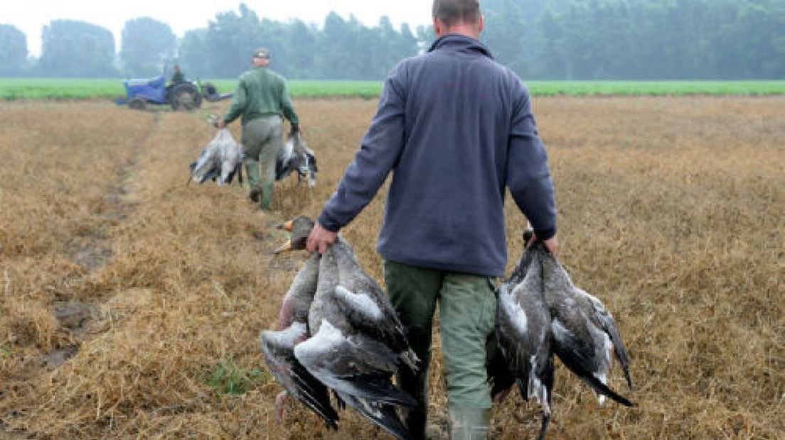 Afschot vogels mag weer bij schade