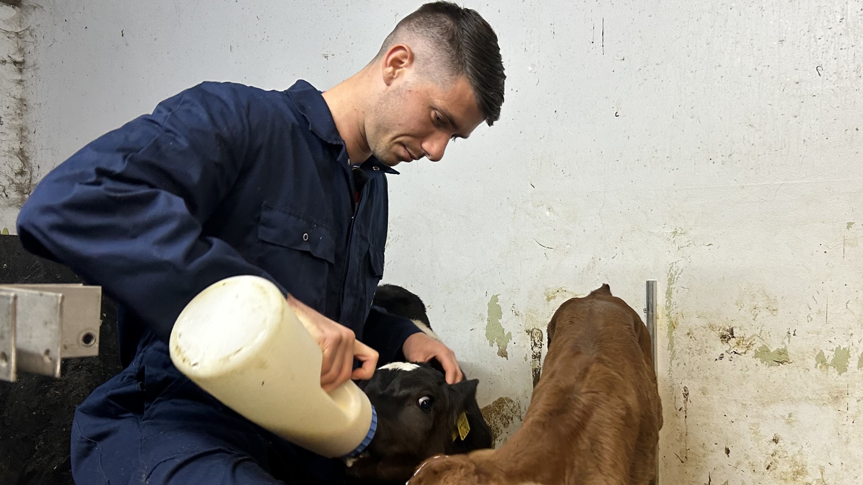 Hearrenfeanspits Van Amersfoort is ien dei yn 'e wike 'Boer Pelle'