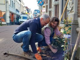 Winkeliers en bewoners in Kampen blij met geveltuinen "Geerstraat nu écht sfeerstraat"