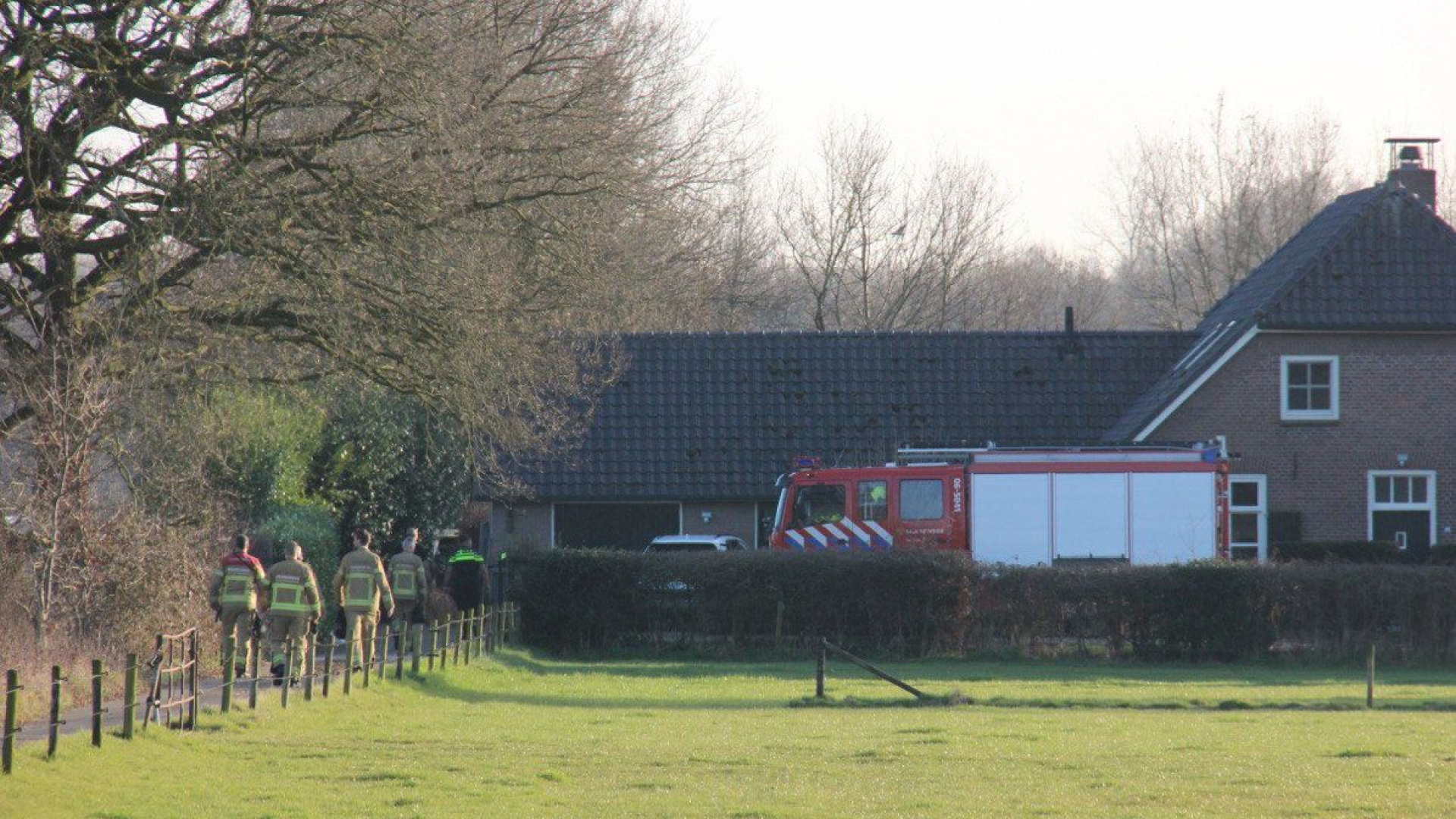 Paard vlucht en belandt in een zwembad