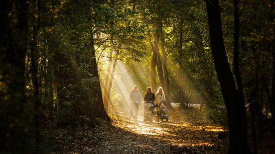 De herfst begint deze week dan echt; of toch niet?