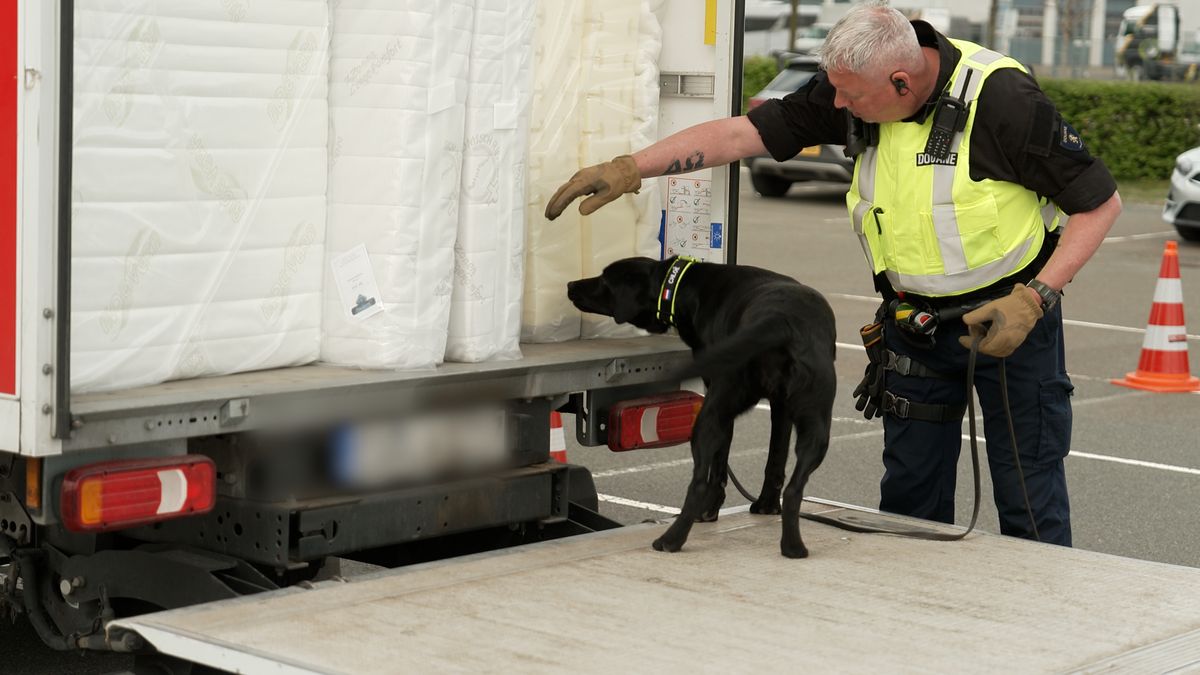 Grote politiecontrole in Hengelo levert slechts 1 bon op