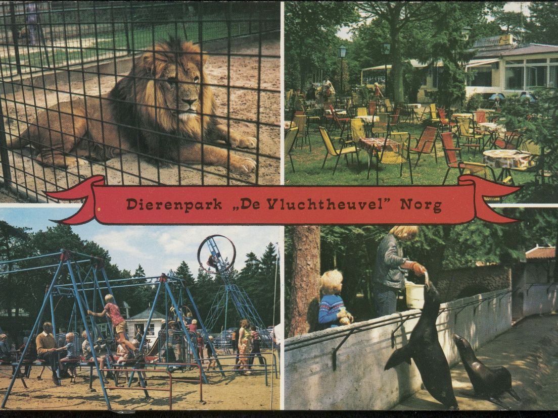 De opkomst en ondergang van familiepark De Vluchtheuvel in Norg