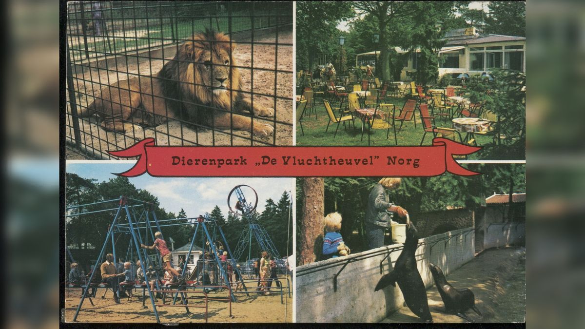 De opkomst en ondergang van familiepark De Vluchtheuvel in Norg