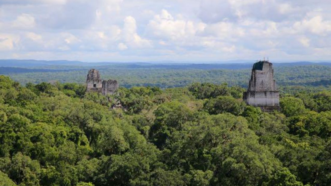 Nationaal Park Tikal in Guatemala (Rechten: Edwin van Stenis / RTV Drenthe)