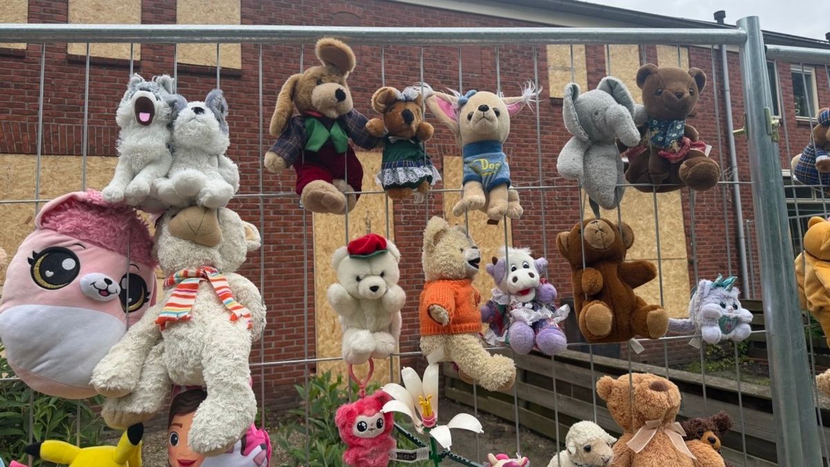 Ook andere moeder is voogdij kwijt na kindermishandeling Stadskanaal