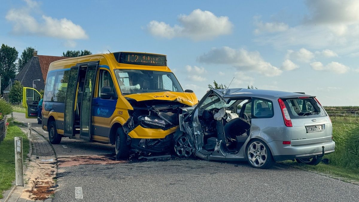 Twee gewonden bij botsing tussen auto en lijnbus in Ferwoude | Damhert gered in Katlijk