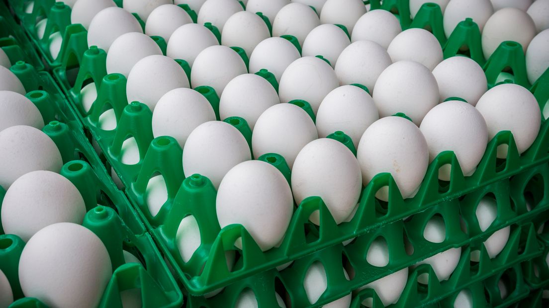 Frank de Ronde maakt zich zorgen over de productie van eieren (Rechten: ANP / Patrick Huisman)