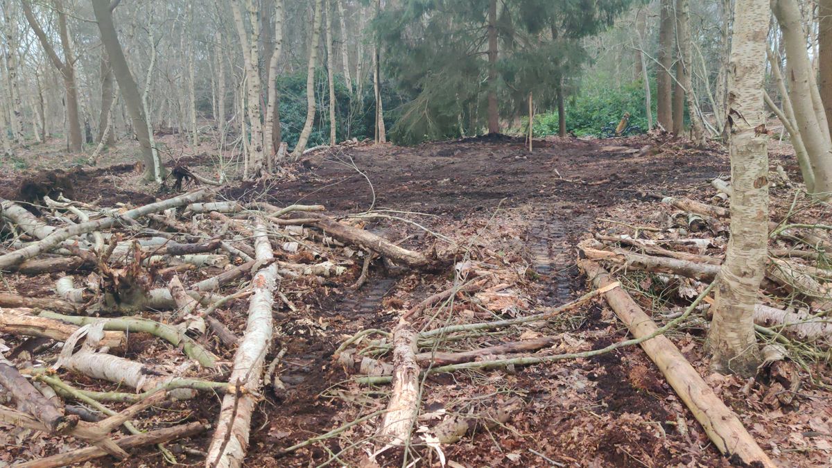 Asser jongerengroep boos over platwalsen ontmoetingshut bij Baggelhuizerplas
