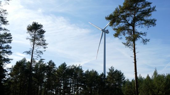 Limburg voelt niets voor grotere afstandsnorm windturbines Nieuws