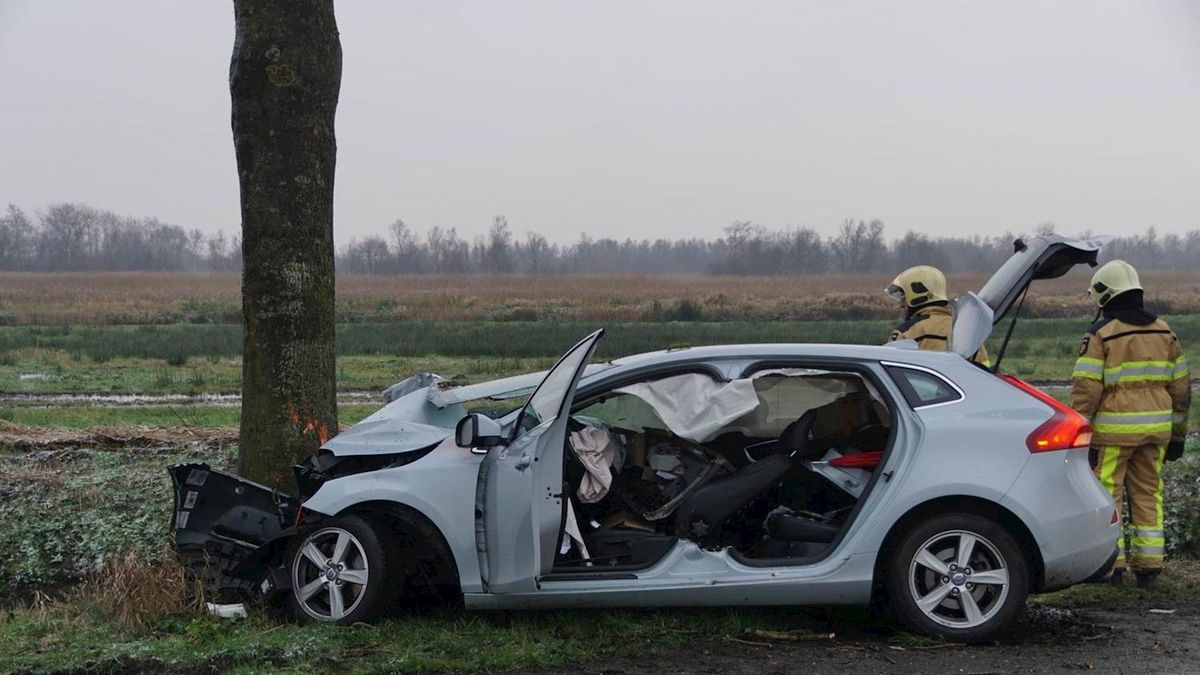 Auto botst tegen boom op Lageweg tussen Kuinre en Ossenzijl