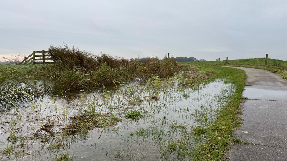 Plassen door regenval