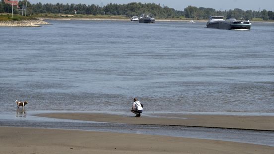Waterpeil daalt snel: waterschappen nemen maatregelen tegen droogte Home