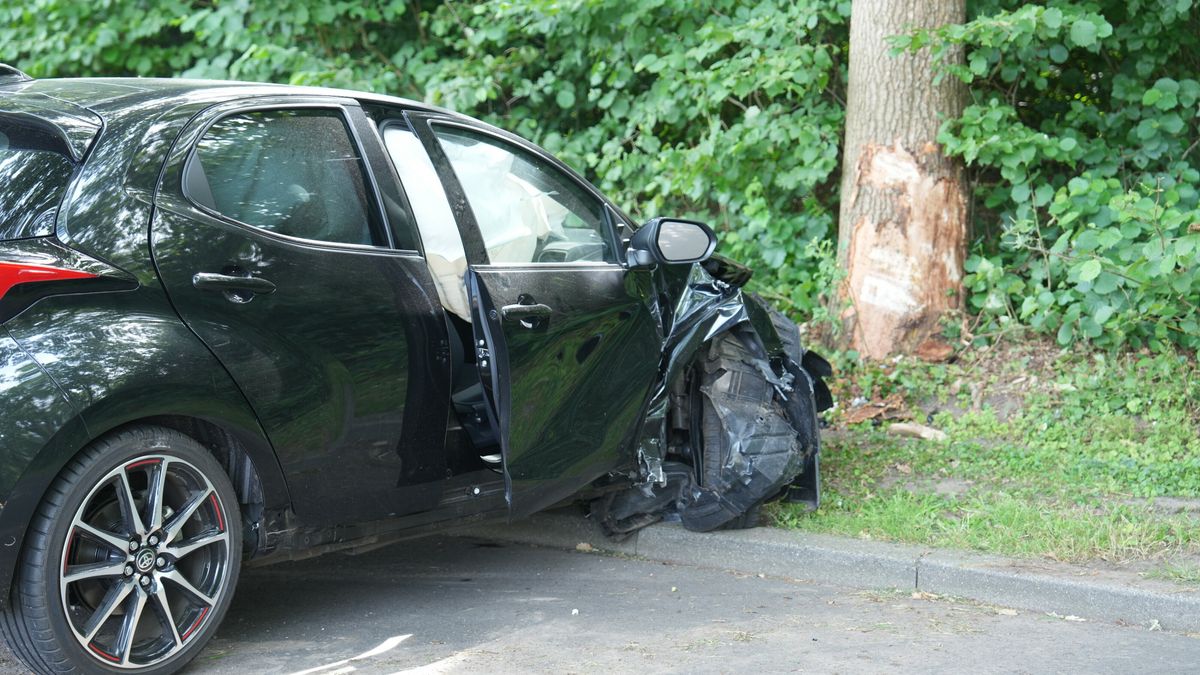 Auto botst op boom in Havelte, één slachtoffer