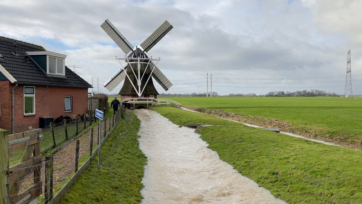 Poldermolen Eolus draait op volle toeren om water af te voeren: 'Dit gebeurt niet zo vaak'