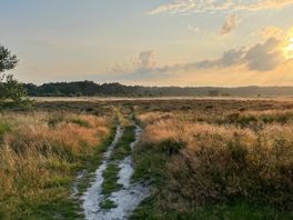 Wat is er deze herfstvakantie te doen in Drenthe?