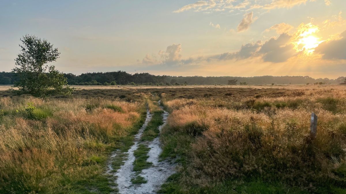 Wat is er deze herfstvakantie te doen in Drenthe?
