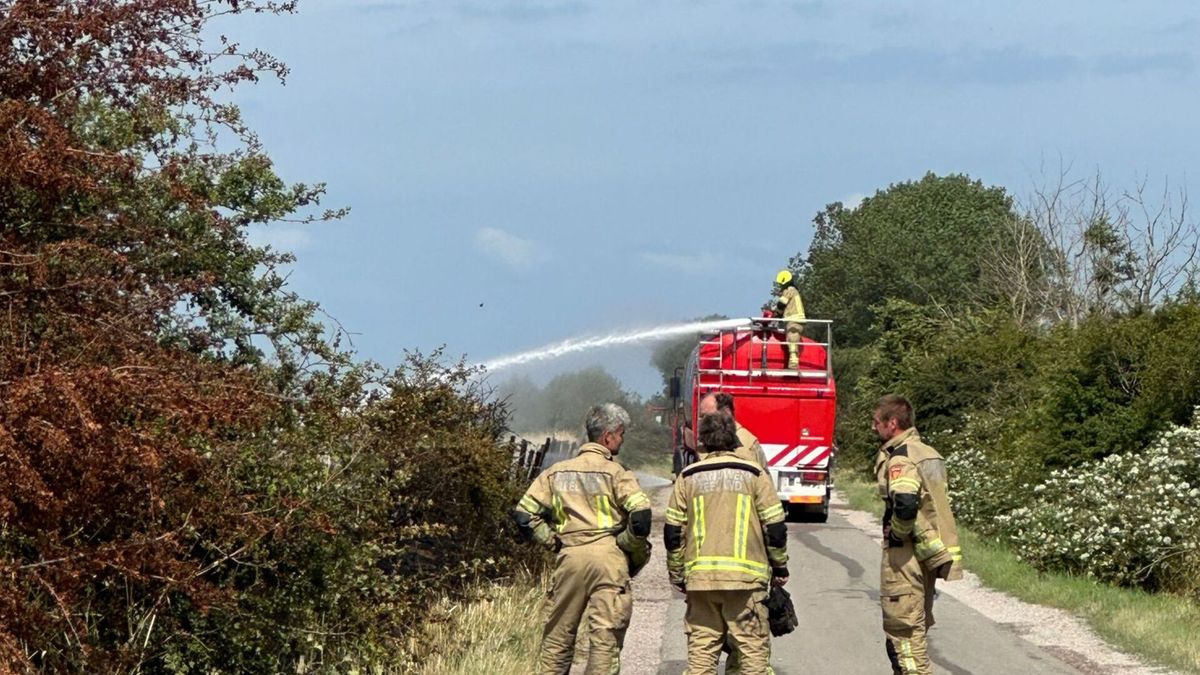 Ongeveer 100 meter berm afgebrand bij Brouwershaven