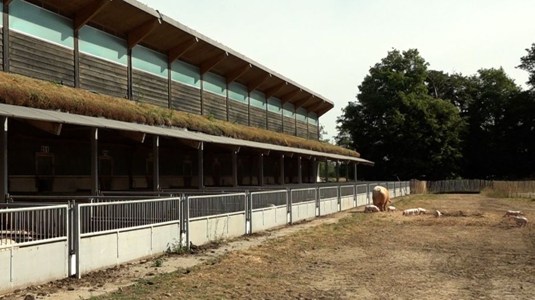 De stal heeft een verharde buitenruimte, een buitenruimte met zand en een dak met sedum dat voor verkoeling in de stal zorgt.