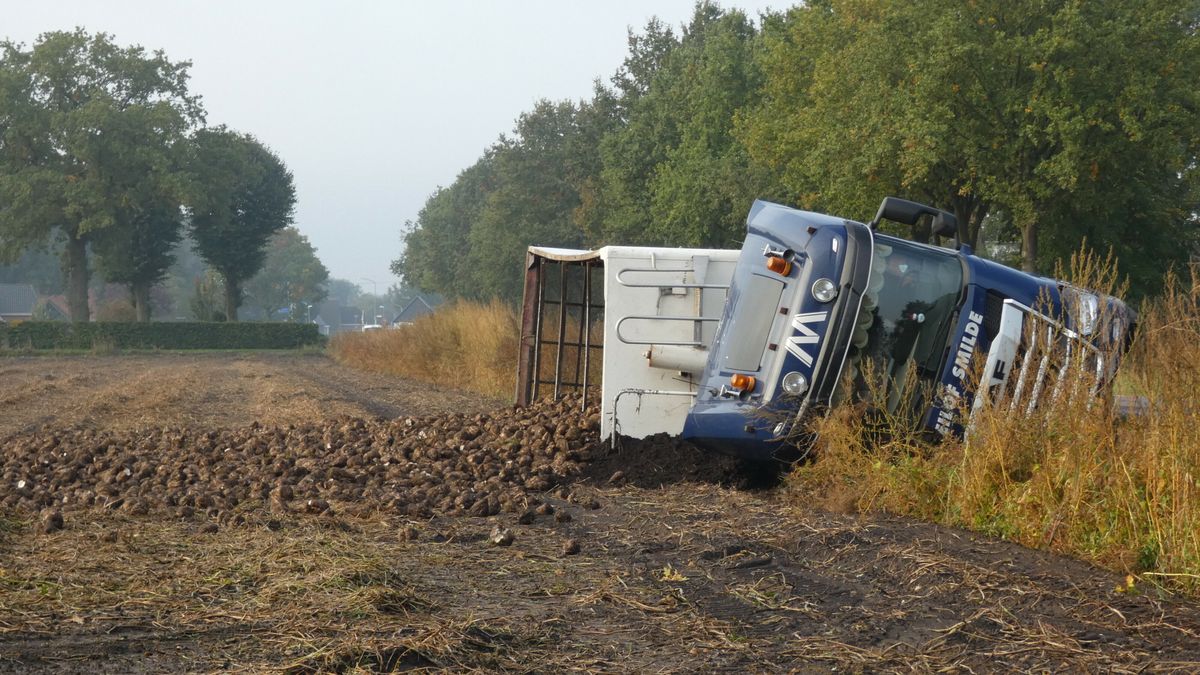 Vrachtwagen met bieten kantelt bij Hooghalen