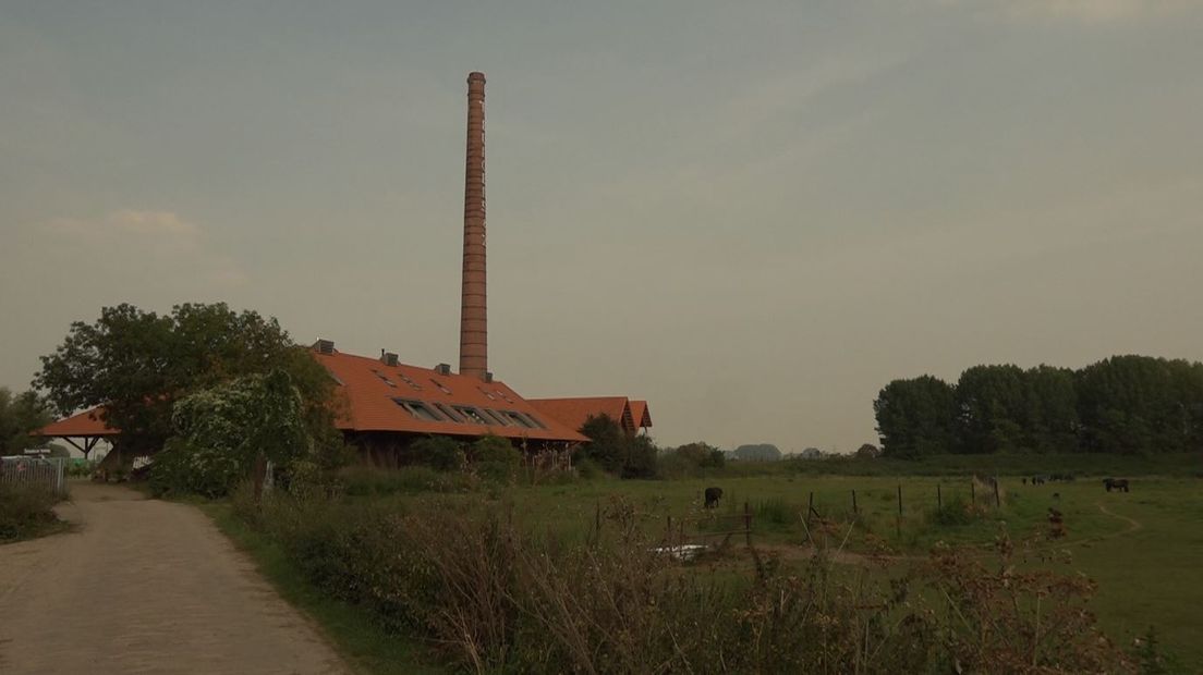 De uiterwaarden in Beuningen ondergaan een flinke opknapbeurt. Vandaag is het project Waalweelde officieel van start gegaan.