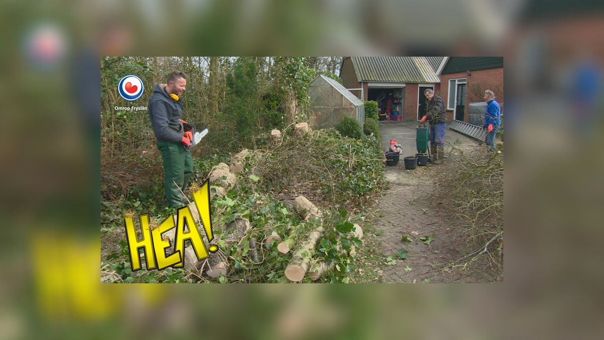 HEA! Snoeien met schoonzoon