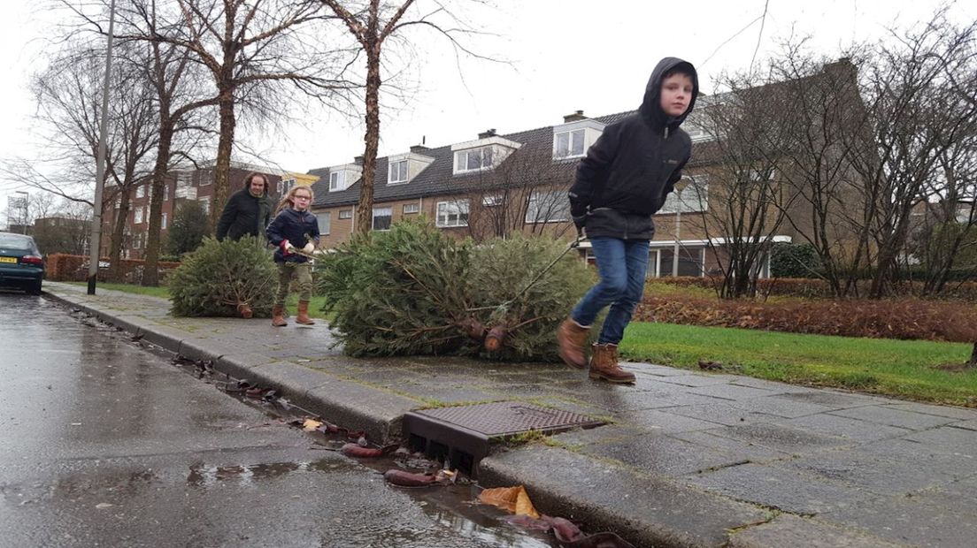 Wat te doen met je oude kerstboom?