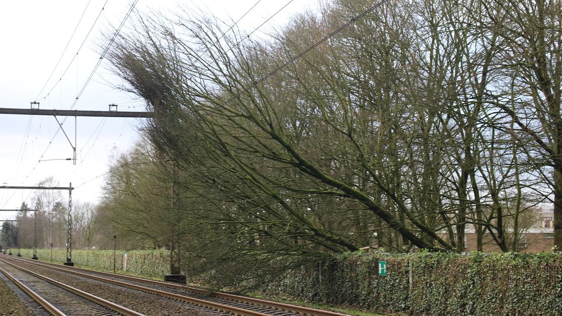 De boom leunt op de bovenleiding bij station Hengelo Oost
