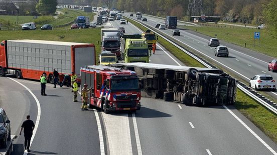 Vrachtwagen met biggen gekanteld bij Didam, file op A18. Vrachtwagen met biggen gekanteld bij Didam, file op A18.