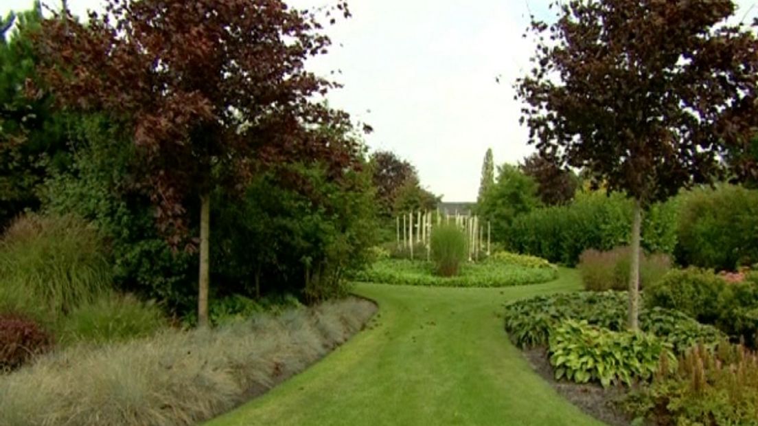 Een ander deel van de tuin