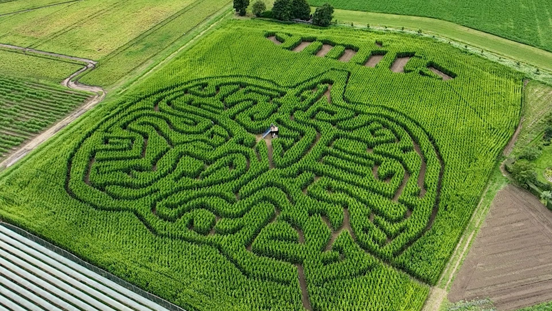 Het doolhof in de vorm van een pompoen.