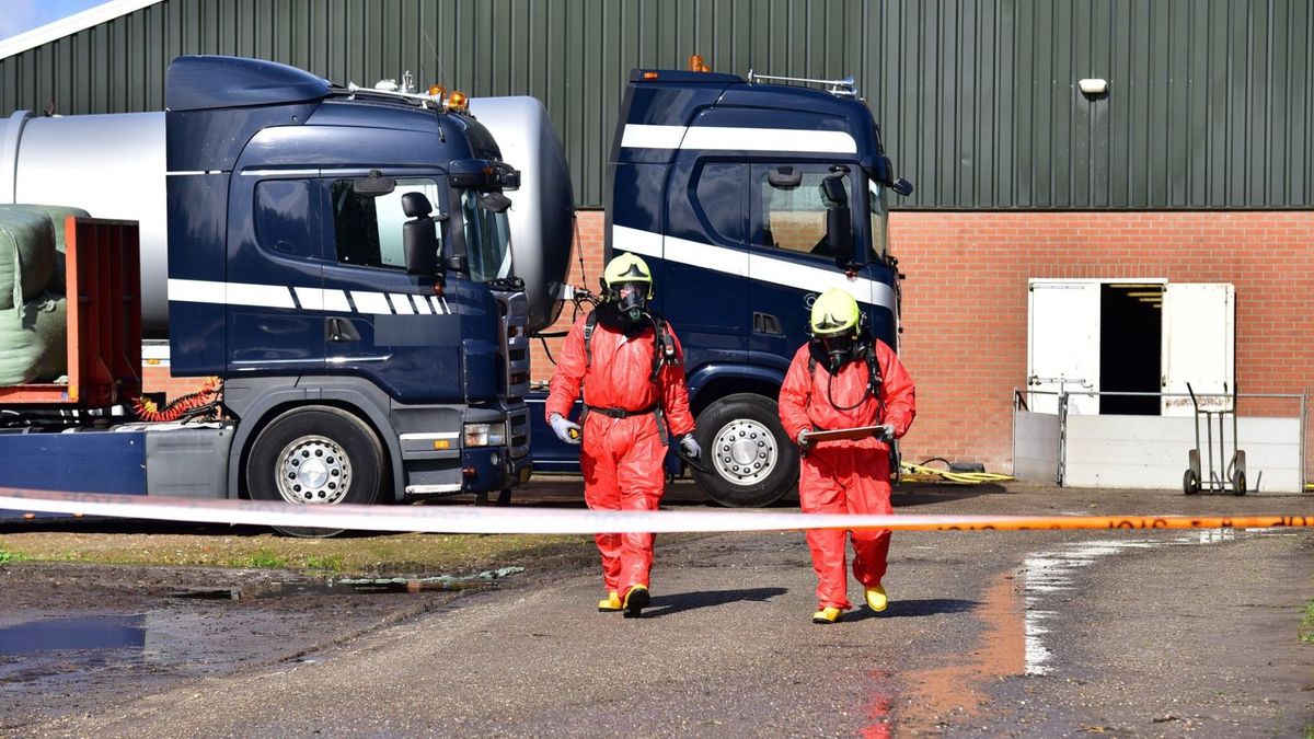 Honderden varkens in Ospel gestikt door waterstofsulfide
