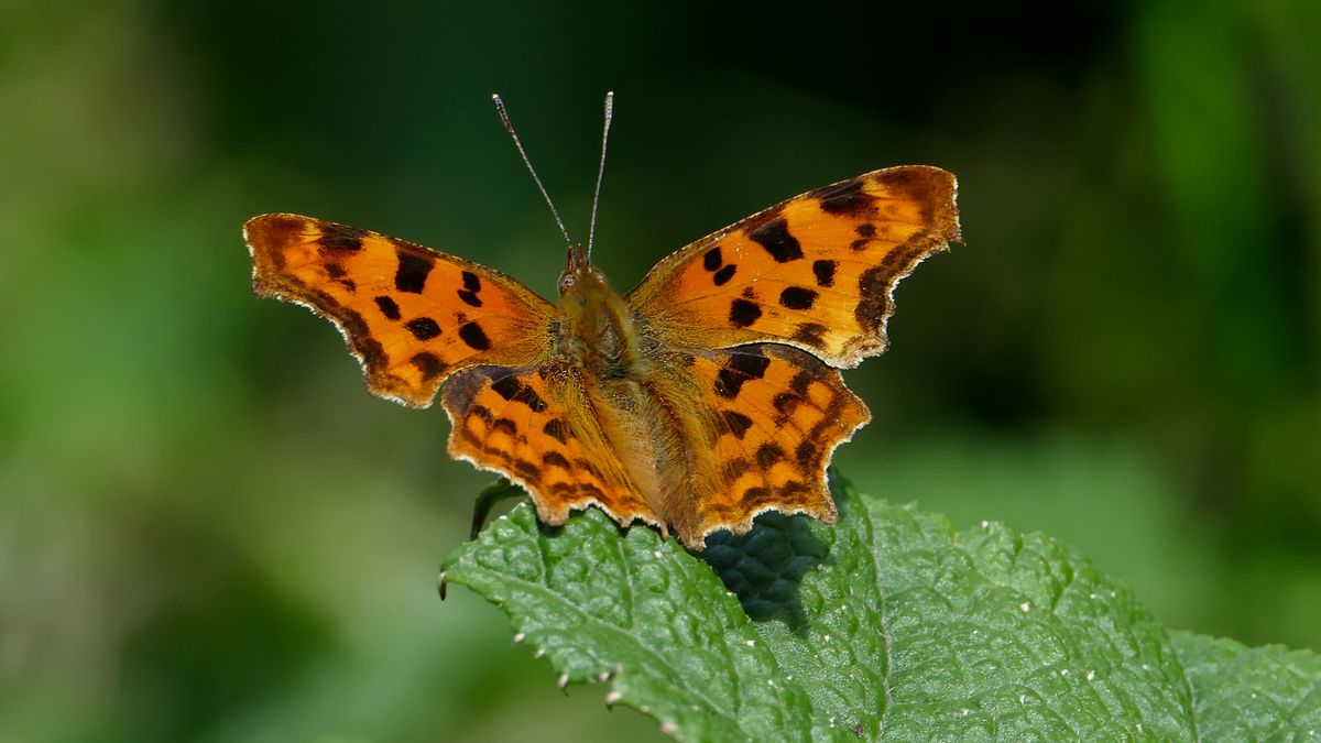 Wat is er dit weekend te doen in Drenthe?