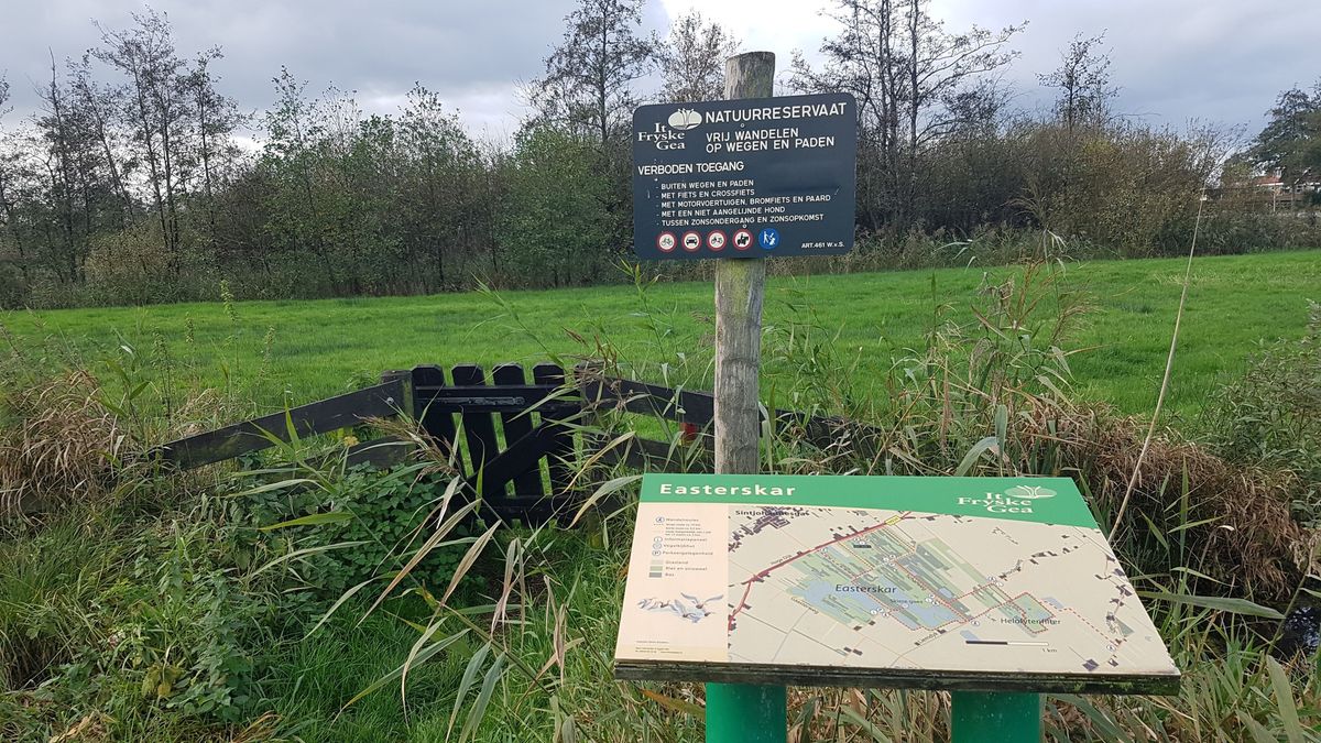 It Fryske Gea komt met livestream-excursies: zondag door het Easterskar