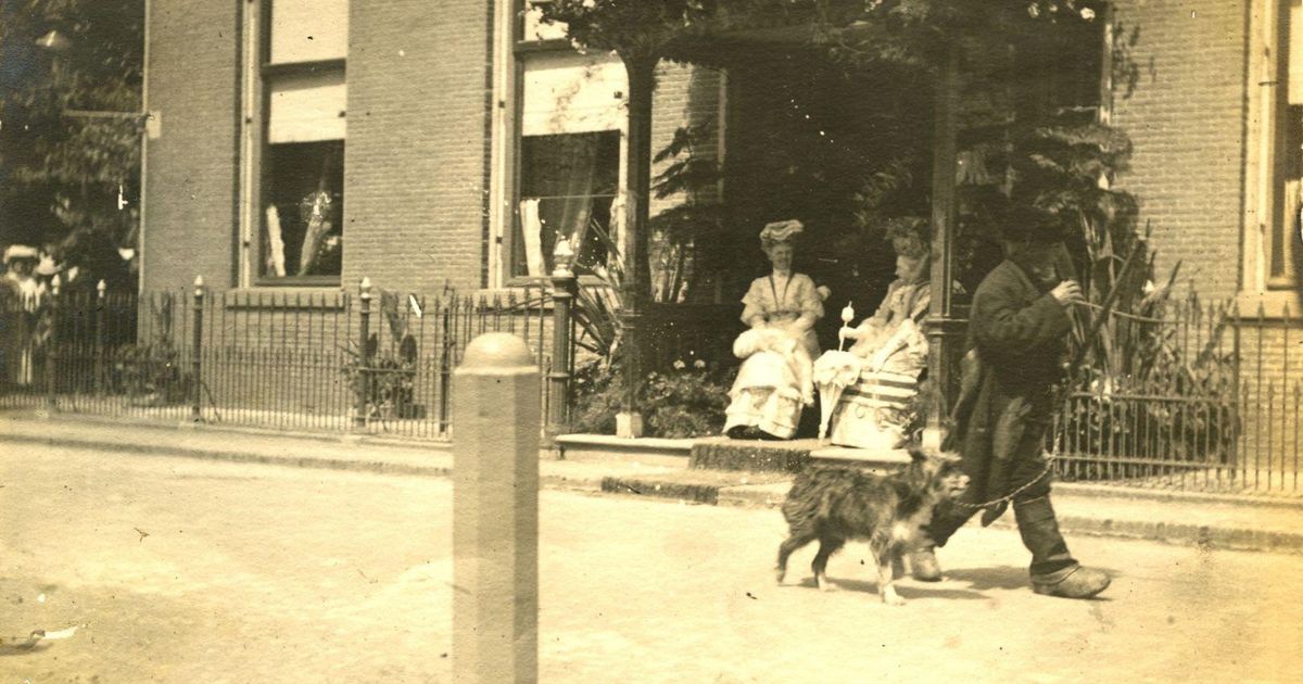Een man op klompen, een hond, een koningin: de verrassende foto's van Jan de Vries