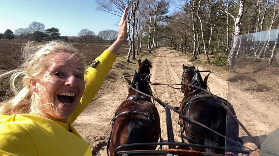 Linda maakt een mentocht over de Veluwe.