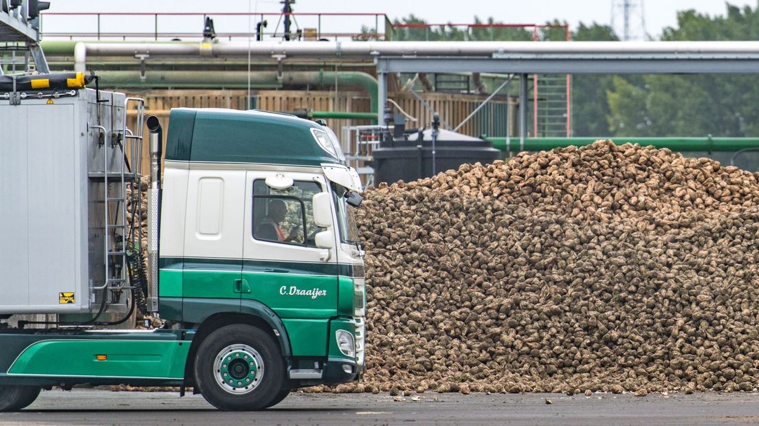 De kenmerkende geur van de suikerfabriek in Hoogkerk verdwijnt voorgoed