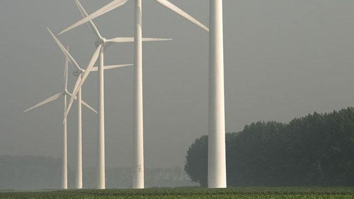 Raad van State haalt ook streep door derde vergunning windmolens Geervliet en Heenvliet