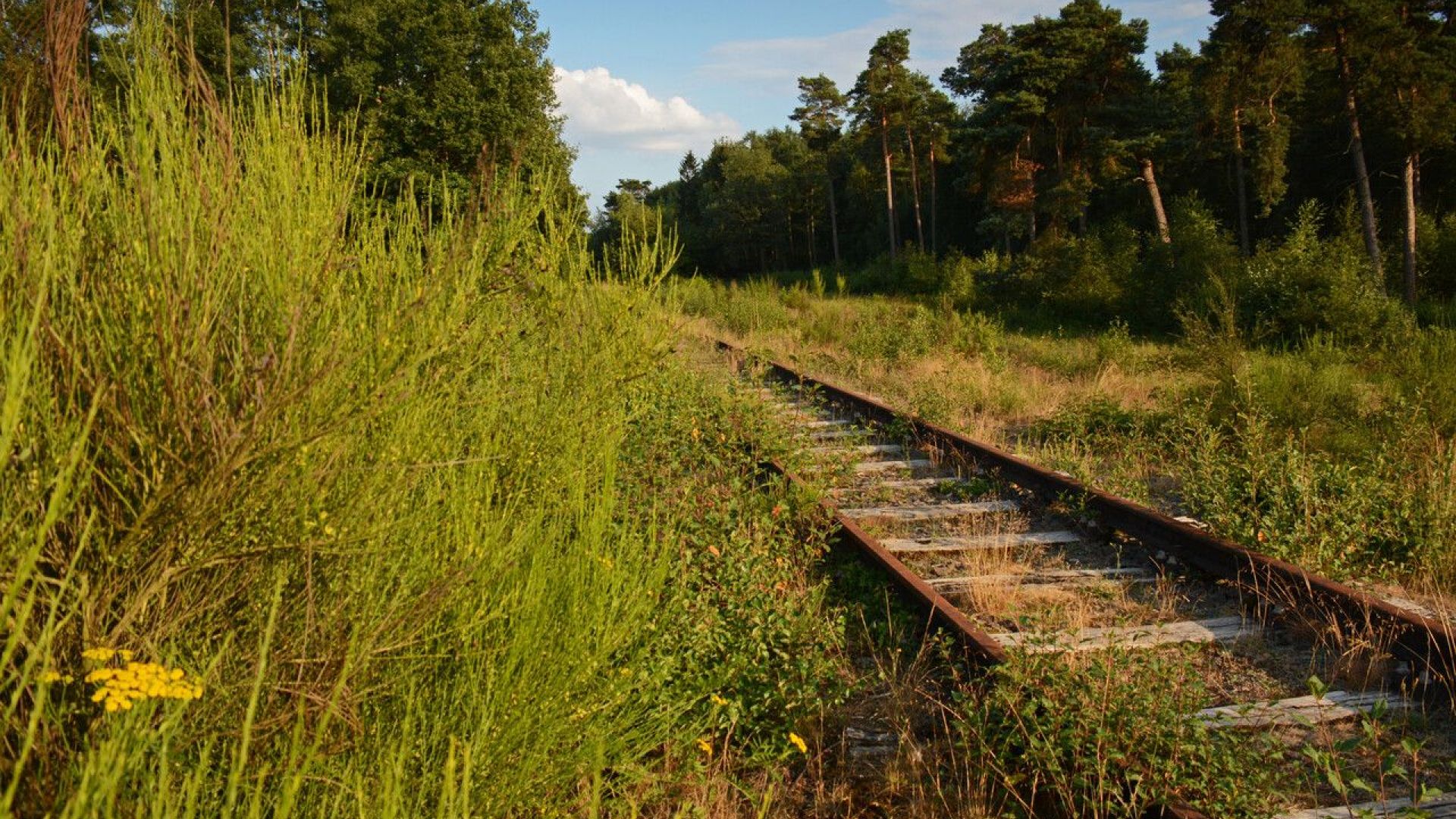 Wandelen over het spoor, hier kan het tijdens de historische spoorbaanwandeling.