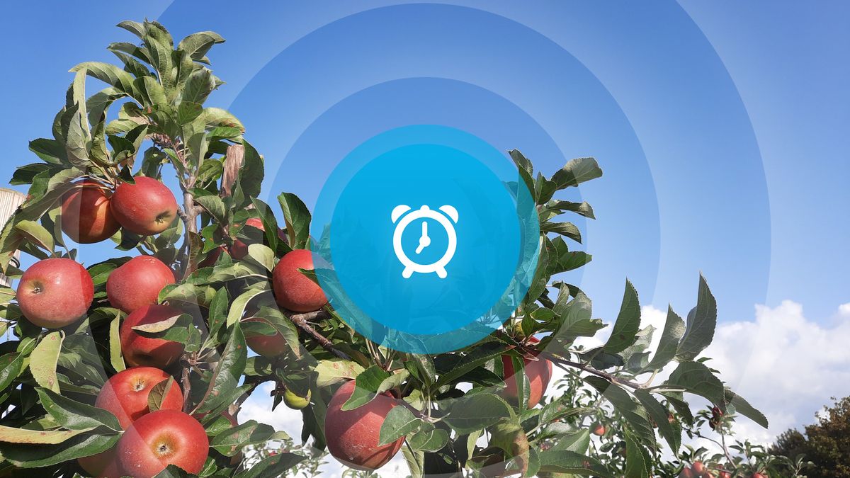 Goedemorgen! Koning in Vlissingen, sloop van kerk Graauw, huiselijk geweld en vrijwilligerswerk