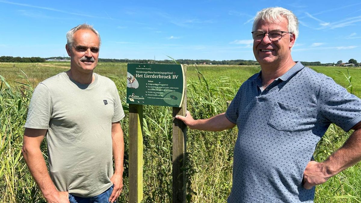 Weidevogelboeren Lierderbroek: 'Zonder roofdierbeheer en vergoeding agrarisch natuurbeheer geen succ