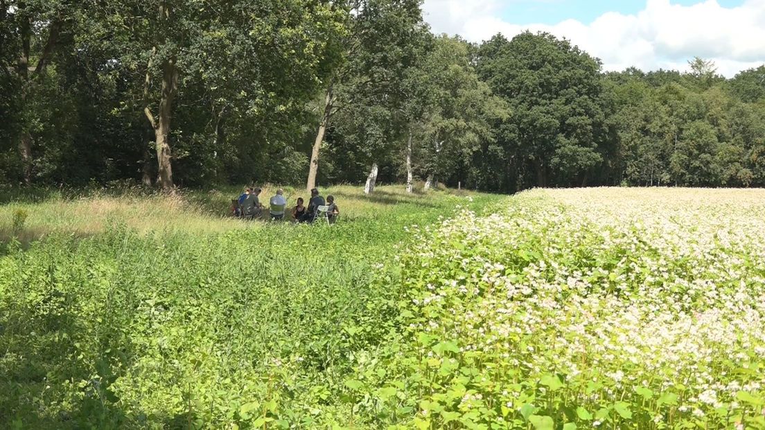 Het boerenland van Land van Ons bij Hooghalen