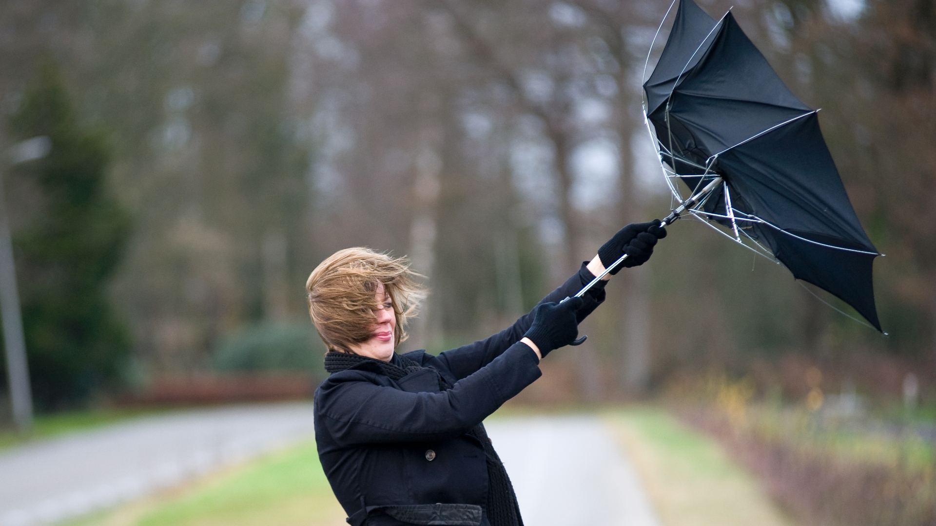 De wind heeft windkracht 5 tot 7.