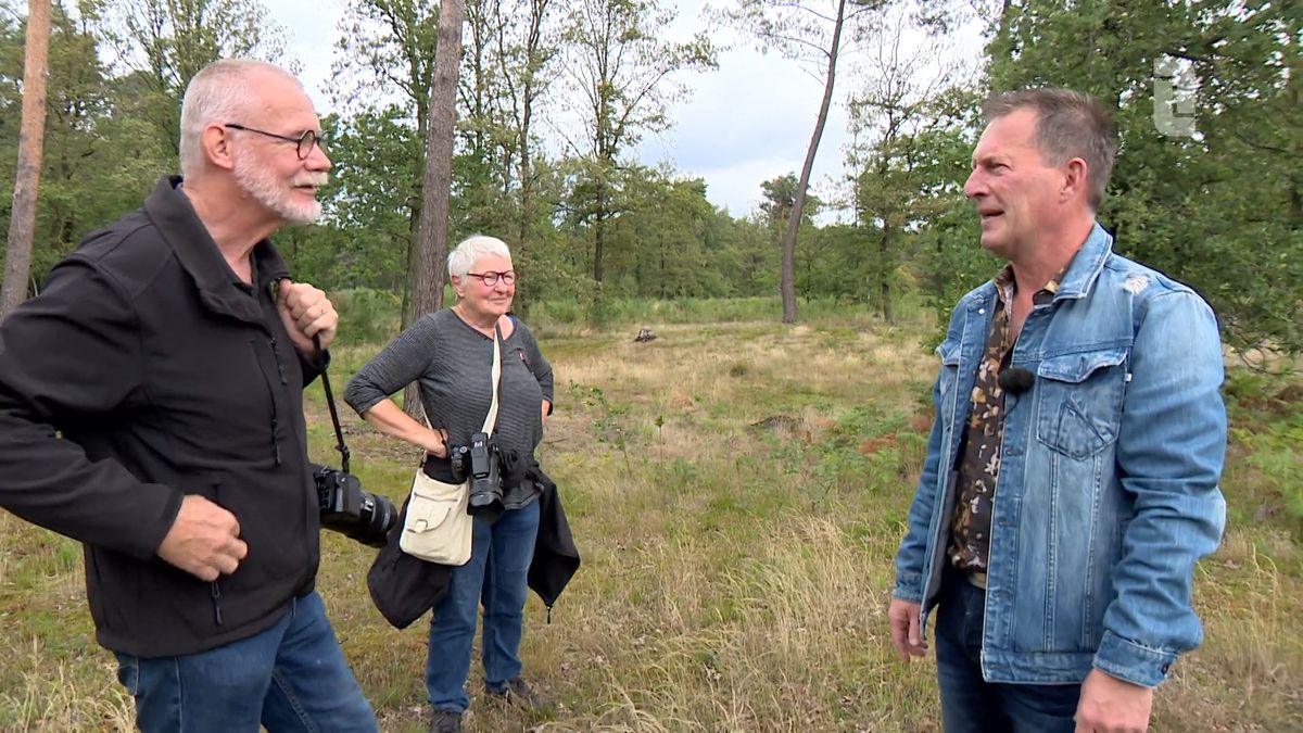 Óngerwaeg deze week in Blitterswijck, Schinnen...