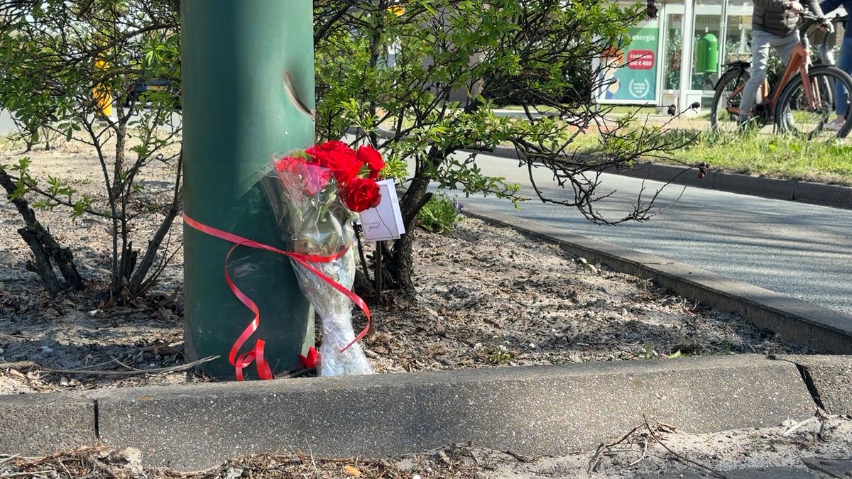 Na dodelijke ongelukken moeten drempels op de Dalweg hardrijden voorkomen