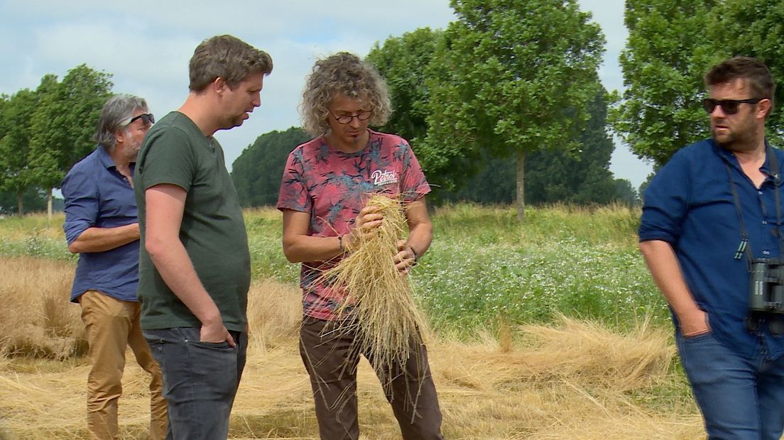 Natuurprojecten in grenspark Groot-Saeftinghe kunnen nog niet zonder subsidie